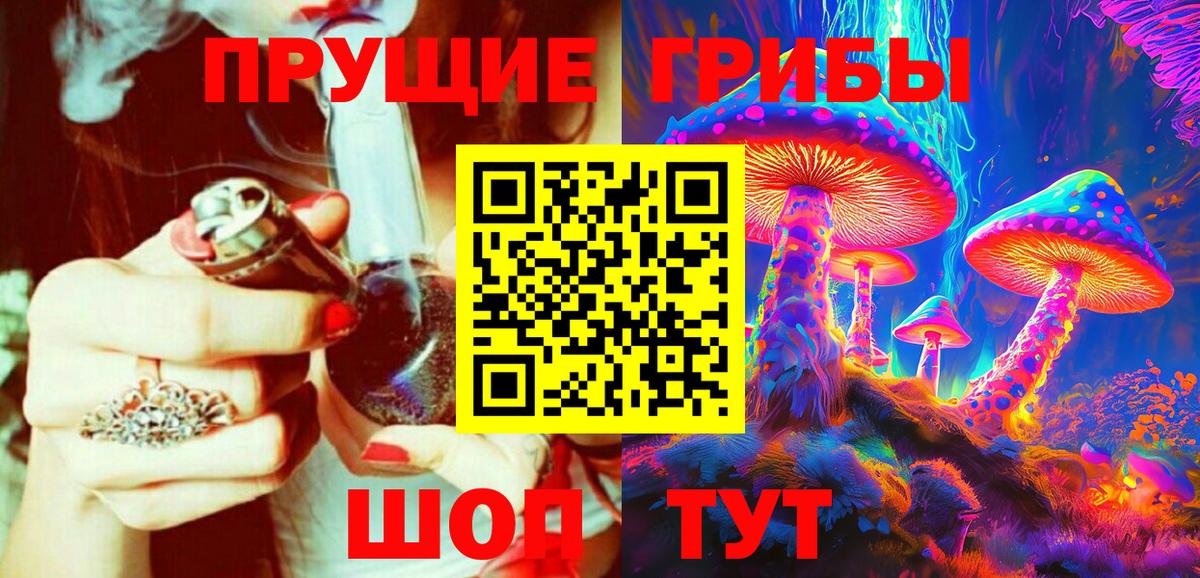 Галлюциногенные грибы Psilocybine cubensis  Вход с VPN  Минеральные Воды 